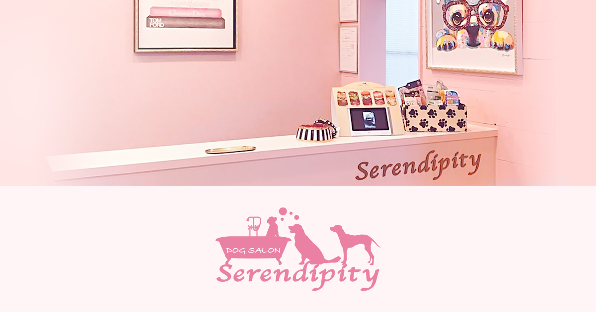 ドッグサロン Serendipity 西麻布店